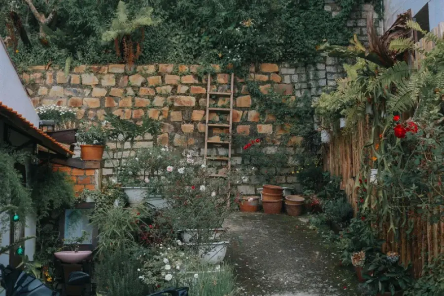 Alfredo's Guest House