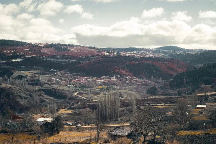 Destro Village