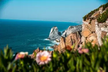 Setúbal e Arrábida: Guia Completo 2026 — Praias, Golfinhos e Arrábida Sem Carros