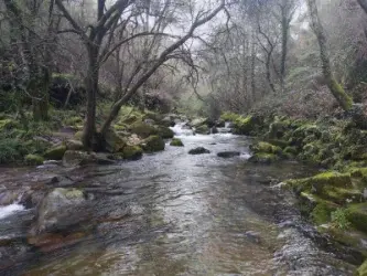 Praias Fluviais do Médio Tejo: Guia Completo 2026