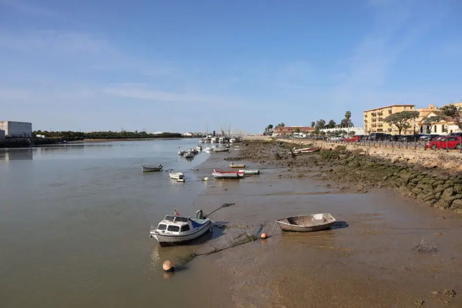 Ilha da Culatra: Guia Completo da Ilha Piscatória na Ria Formosa 2026