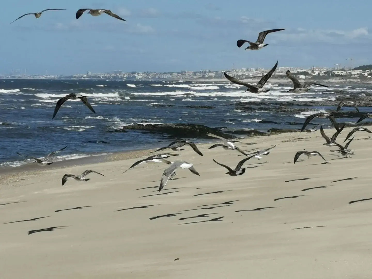 Praia de Cabanas de Tavira (Ilha de Cabanas)