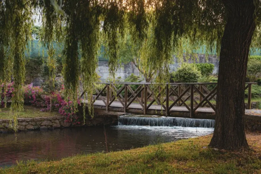 Praia Fluvial de Montargil
