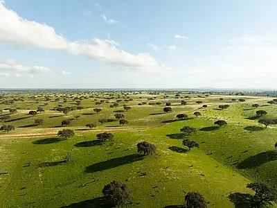 Praia Fluvial da Póvoa e Meadas
