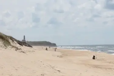 Pesca na Praia em Portugal 2026: Licença, Espécies Proibidas e Multas