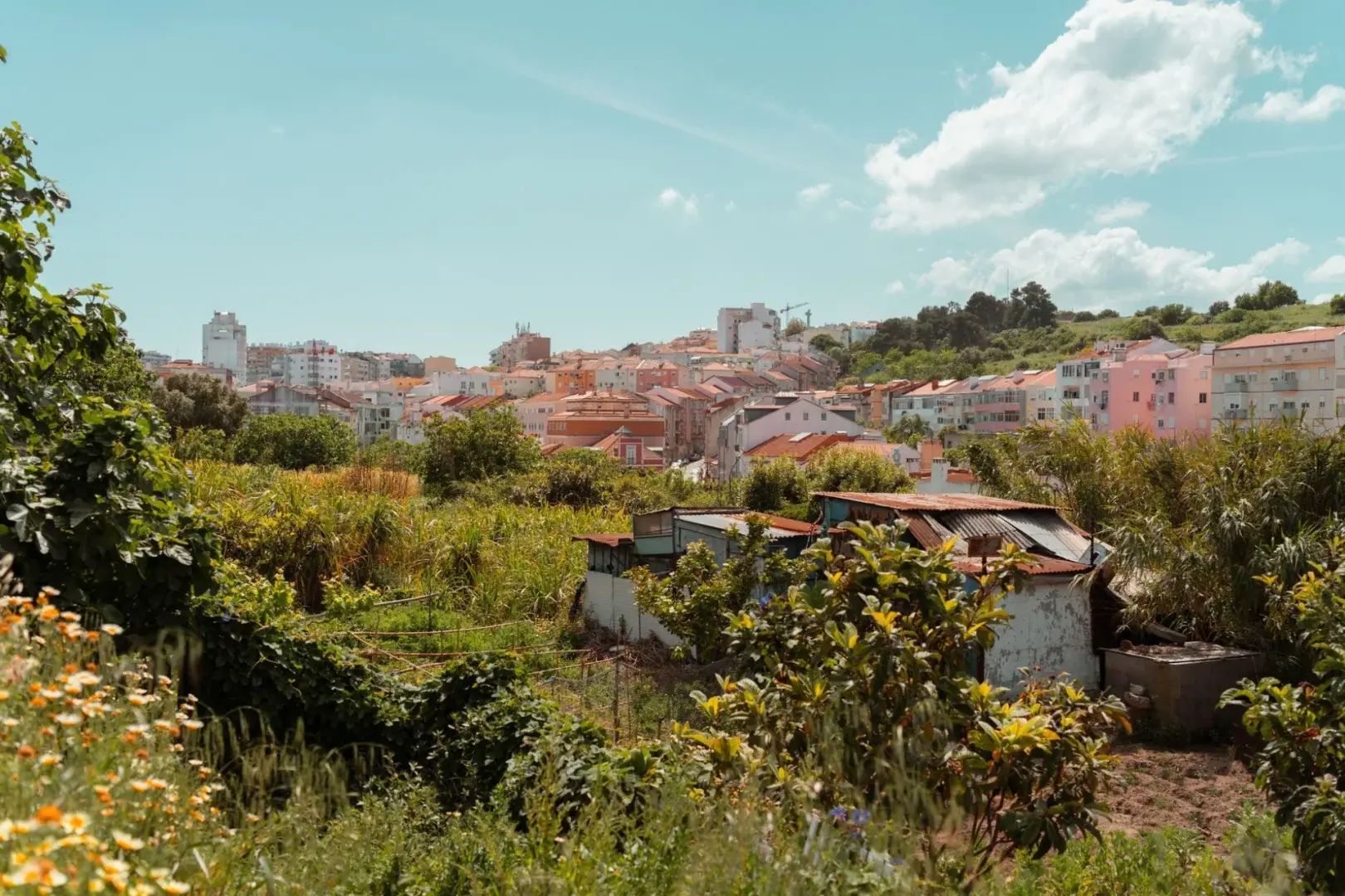 Casal Santa Virgínia