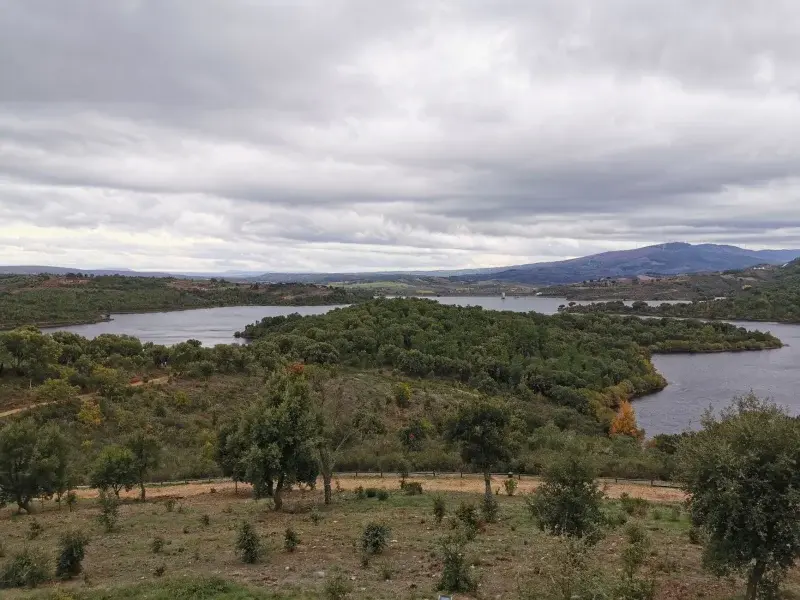 Herdade da Fonte Ferreira