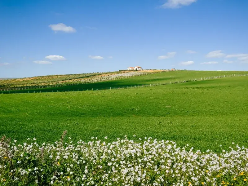 Herdade da Caniceira