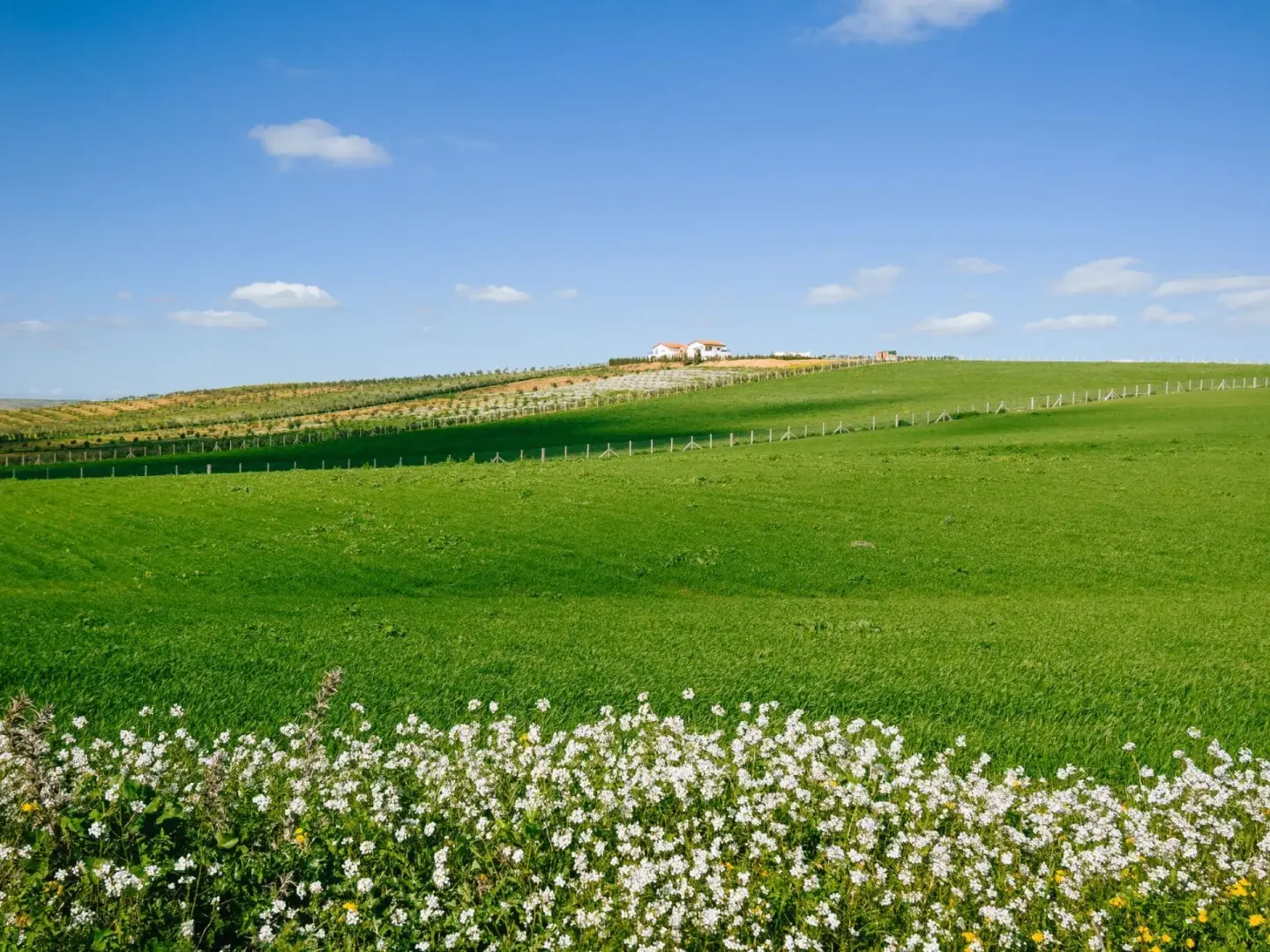 Herdade da Caniceira