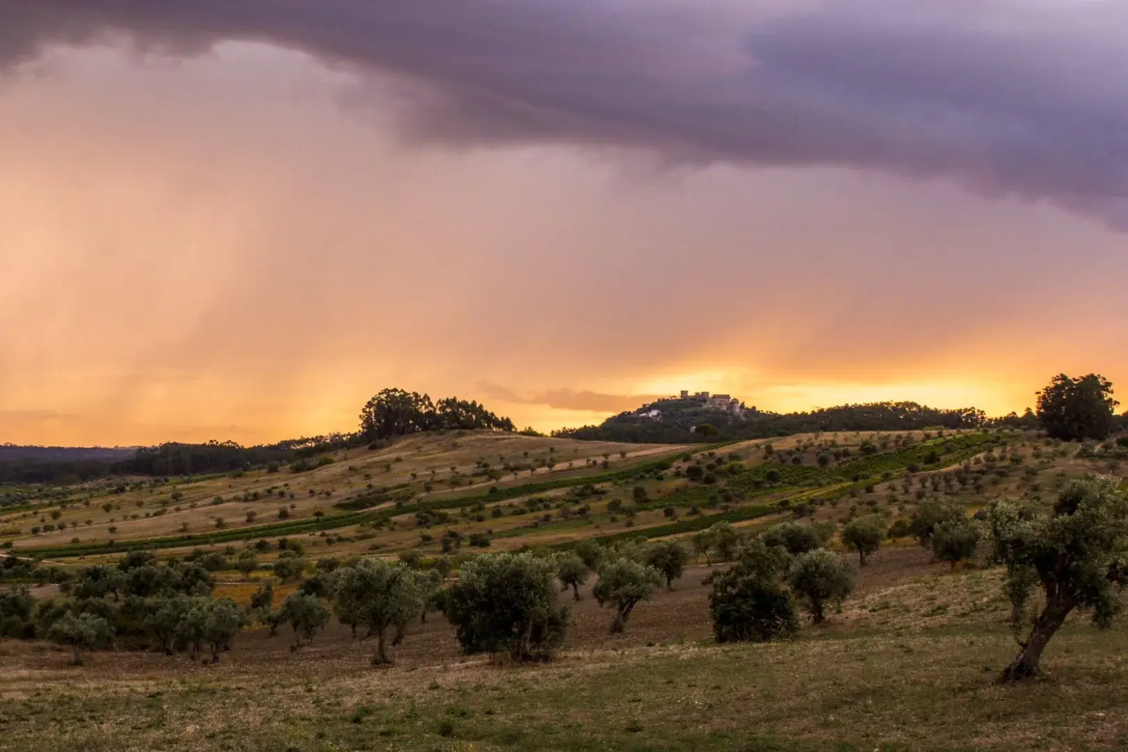 Monte da Tojeirinha