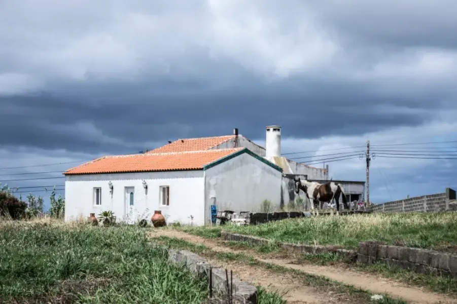 Monte de Portugal
