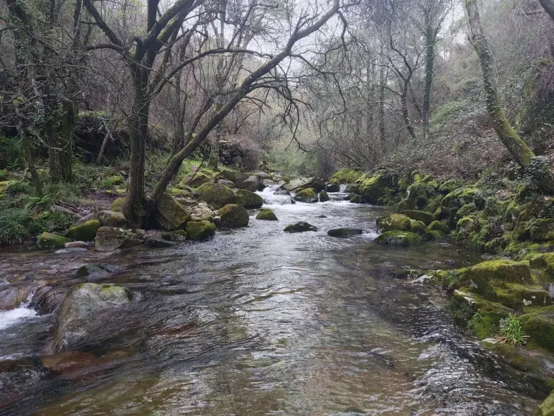 Praia Fluvial Paraíso (São João do Monte)