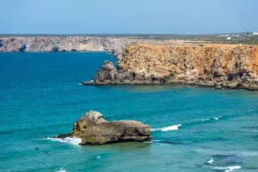 Observação de Aves em Portugal 2026: os Melhores Sítios Perto das Praias