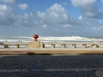 Bandeira Roxa nas Praias de Portugal 2026: o Que Significa e Porque Quase Ninguém a Reconhece