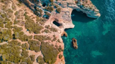 Coasteering في البرتغال 2026: الدليل الشامل لرياضة المغامرة في Algarve
