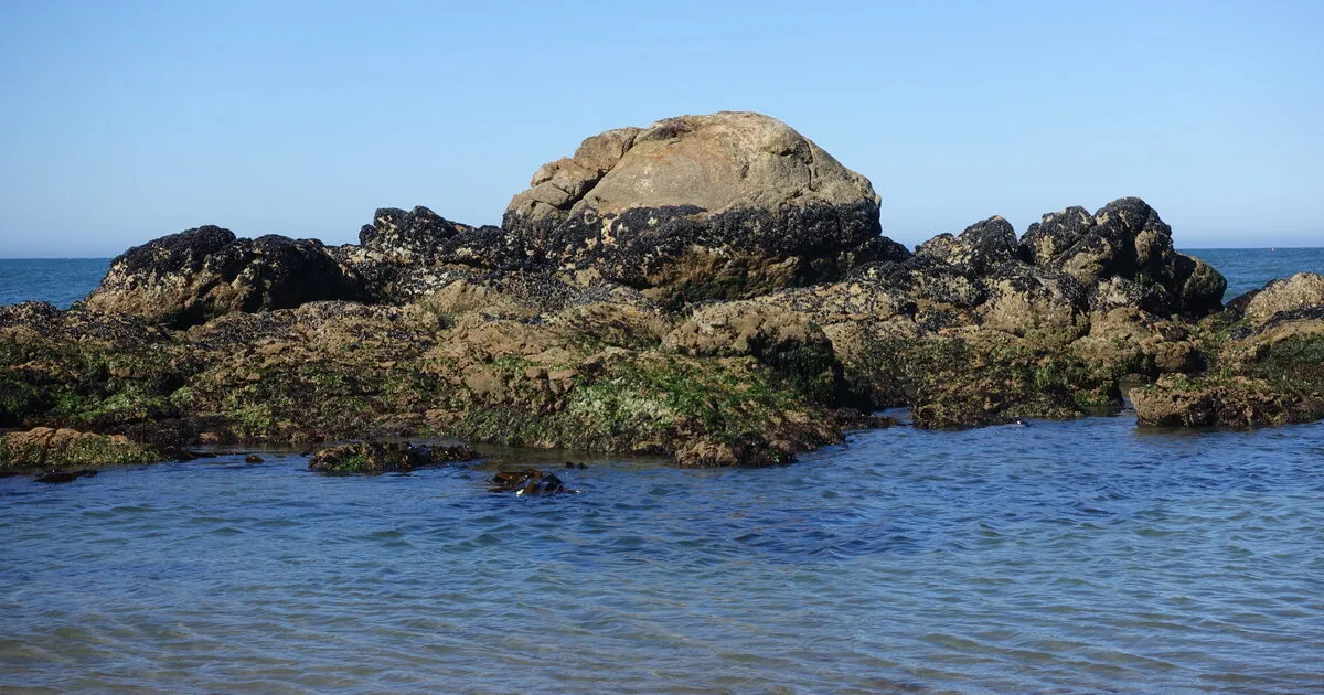 Praias do Norte de Portugal: Guia das Melhores Praias do Minho e Douro
