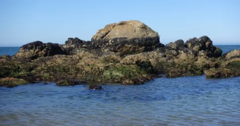 Northern Portugal Beaches: Guide to the Best Beaches in Minho and Douro