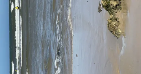 Surfing in Portugal: The Best Beaches to Learn and Improve