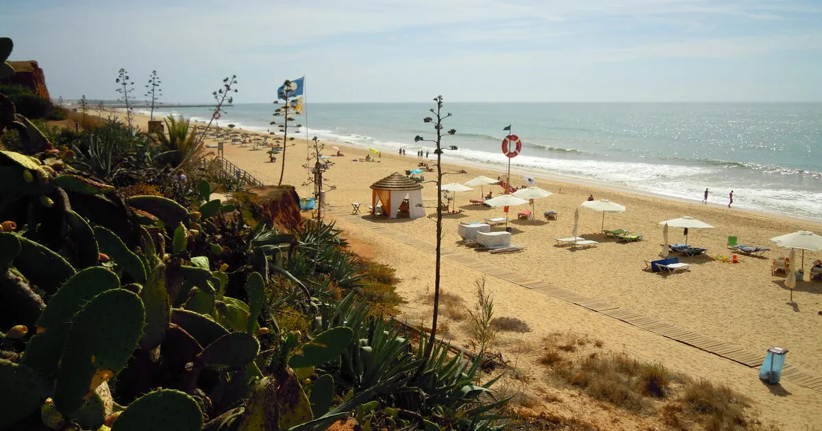 Dicas Para Aproveitar a Praia ao Máximo: O Guia do Banhista Inteligente
