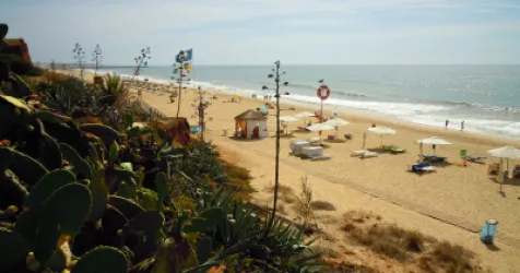 Tips to Make the Most of the Beach: The Smart Beachgoer's Guide