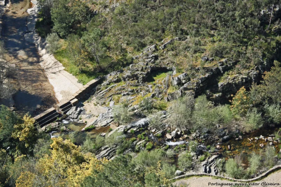 Pantai sungai Castelo de Bode