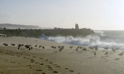 Costa de Prata: As Melhores Praias entre Figueira da Foz e Setúbal