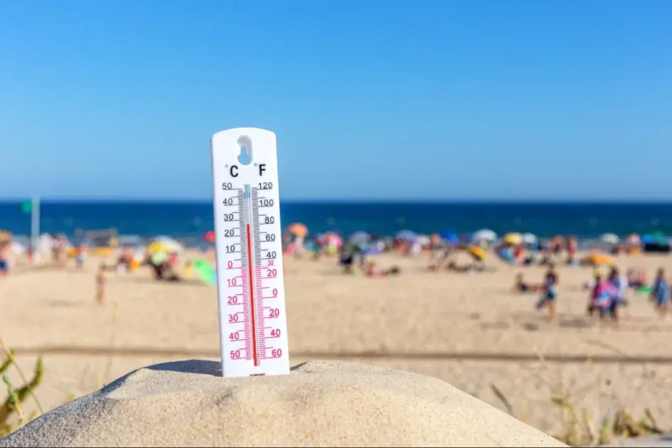 Temperatura dell'Acqua di Mare in Portogallo: Guida Completa per Regione e Mese