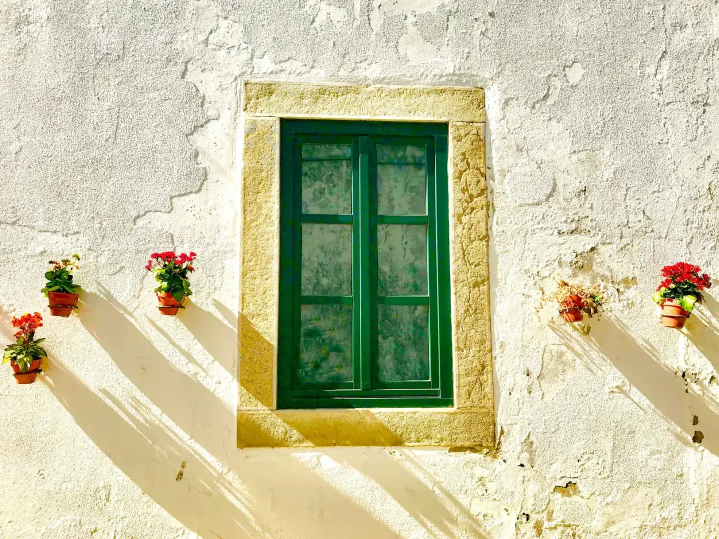 Quinta da Lua