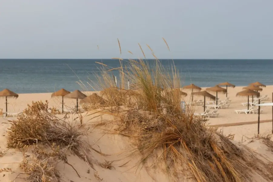 Beach House Praia da Tocha