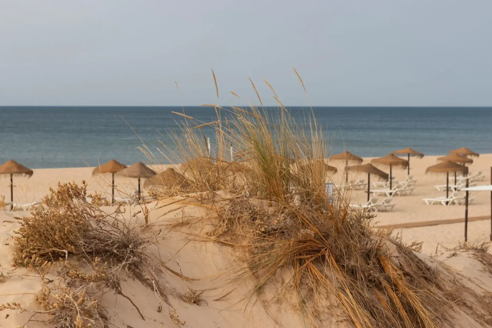 Beach House Praia da Tocha
