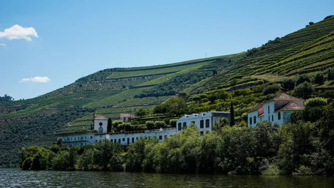 Mira Douro Valley Home